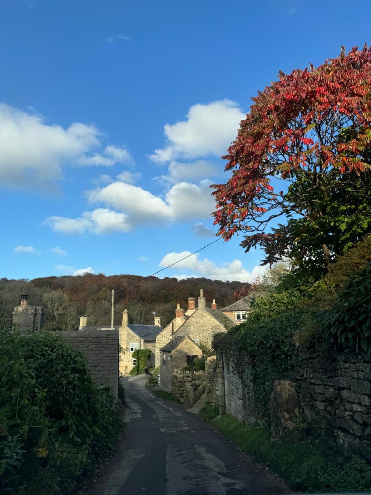 Bed & Breakfast Stables At The Black Horse