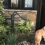 The Old Farm