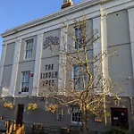 Linden Tree