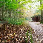 Pinetum Lodge