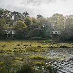 Rewildthings Treehouses