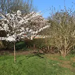 Court Cottage - Uk49274