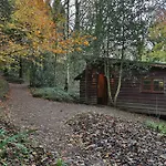 Pinetum Lodge