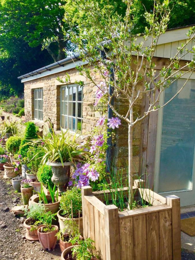 Lavender Chalet