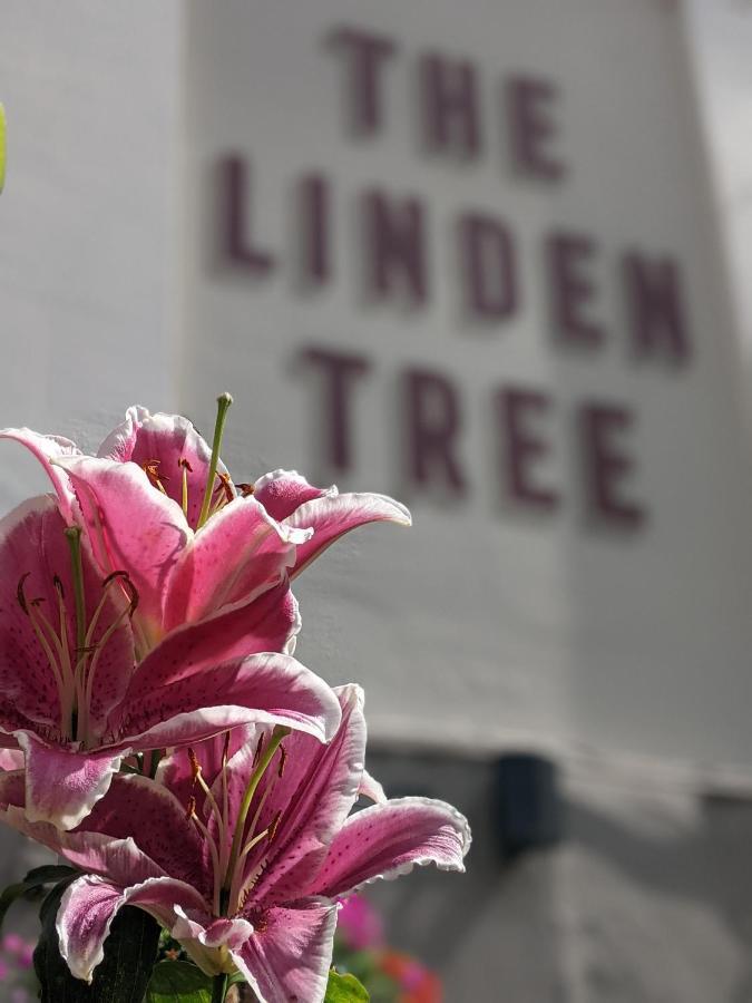 Bed & Breakfast Linden Tree Gloucester
