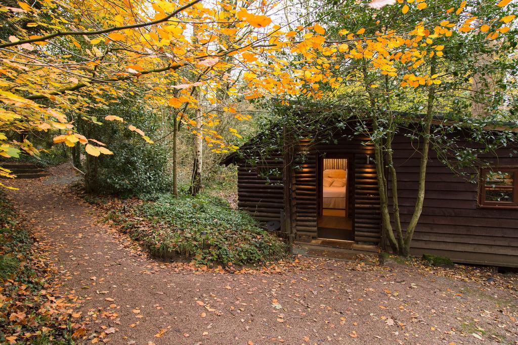 Casa de férias Pinetum *