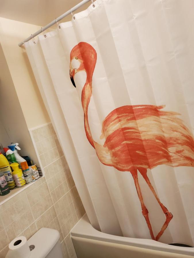 Homestay Flamingo Gloucester