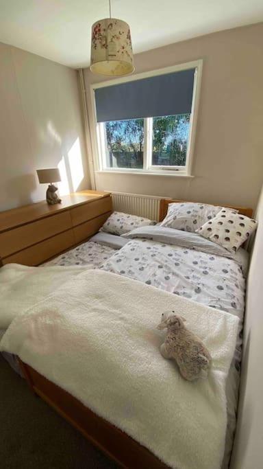 Holiday home Cheerful 3 Bedroom With Indoor Fire Place Gloucester
