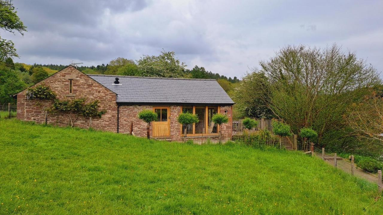 Danu House Holiday home *