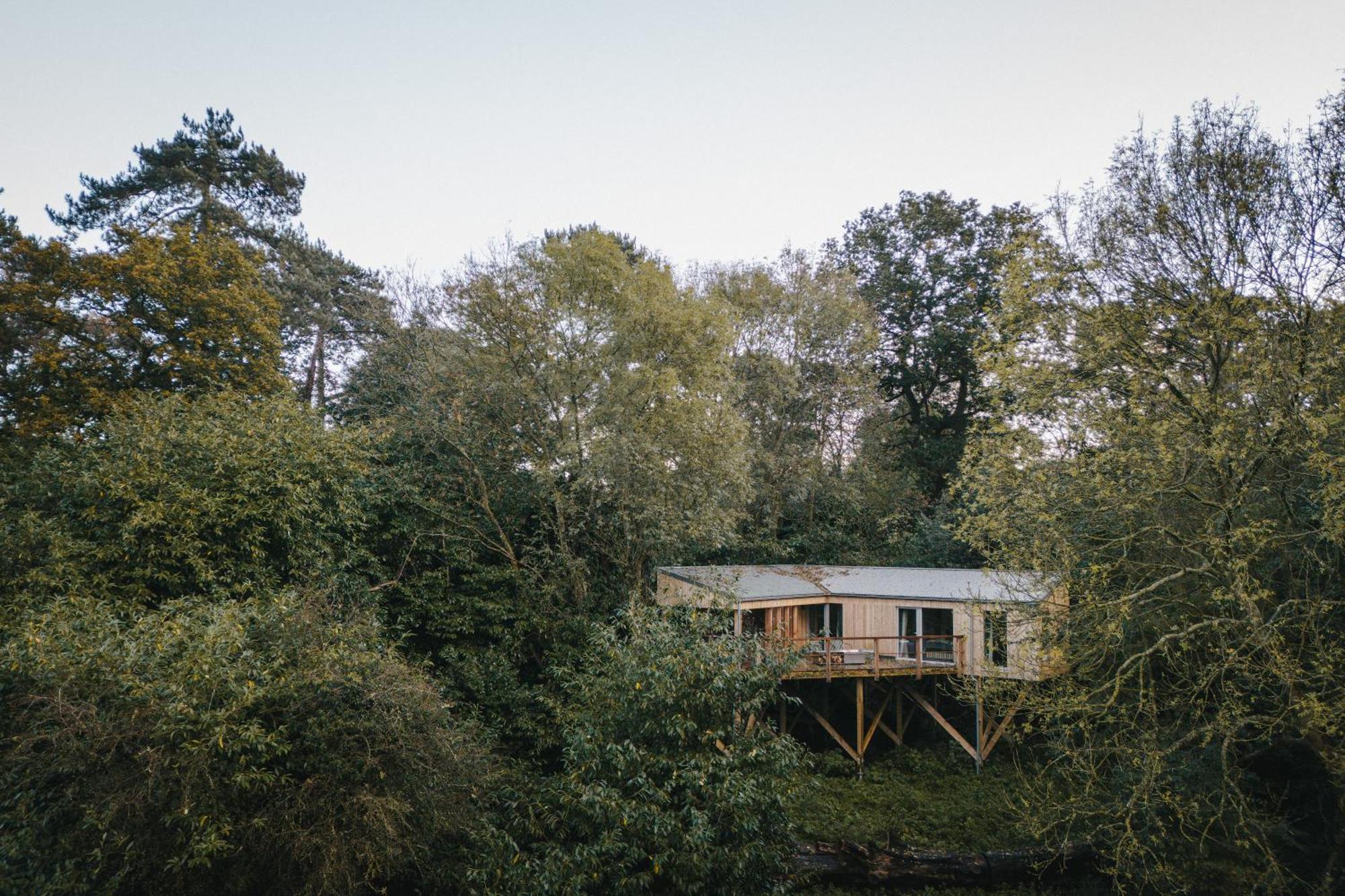 Rewildthings Treehouses *