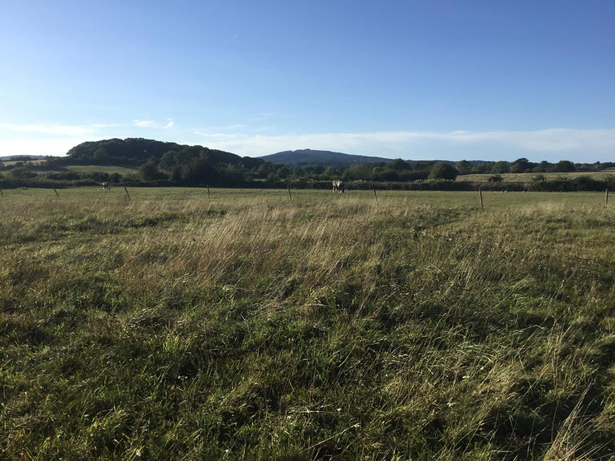 Luxury tent Fields Glamping *