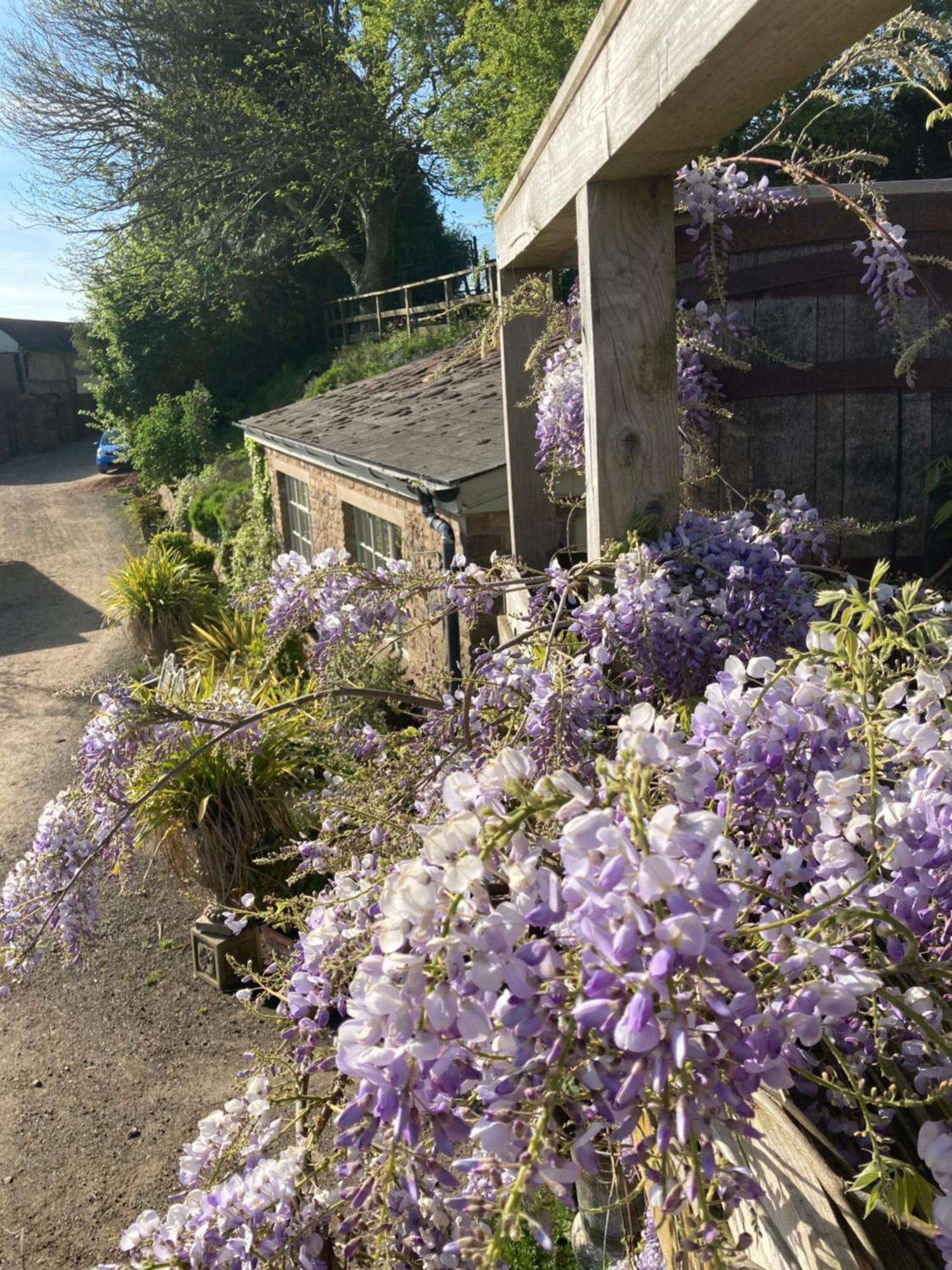 Lavender Chalet