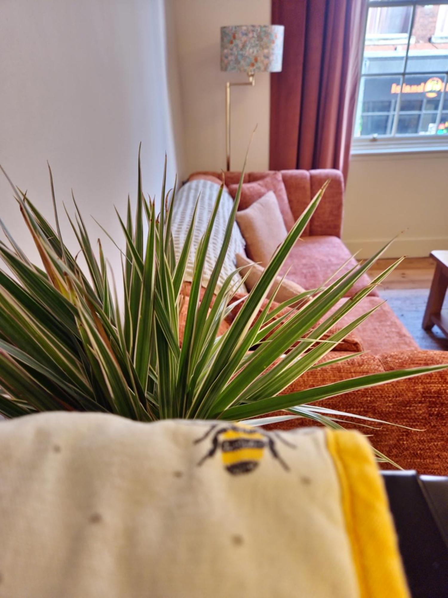 Self-catering Flat - A Hidden Gem Apartment
