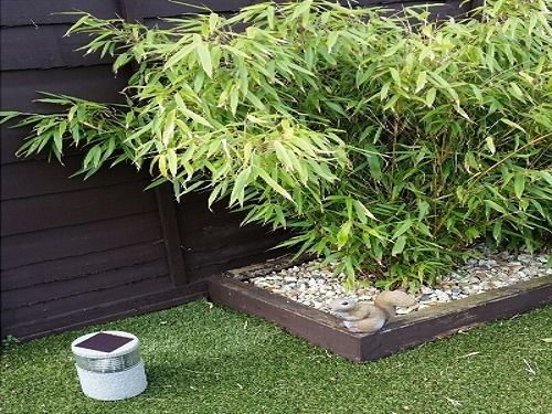 City Lodge Guest House Hotel Gloucester