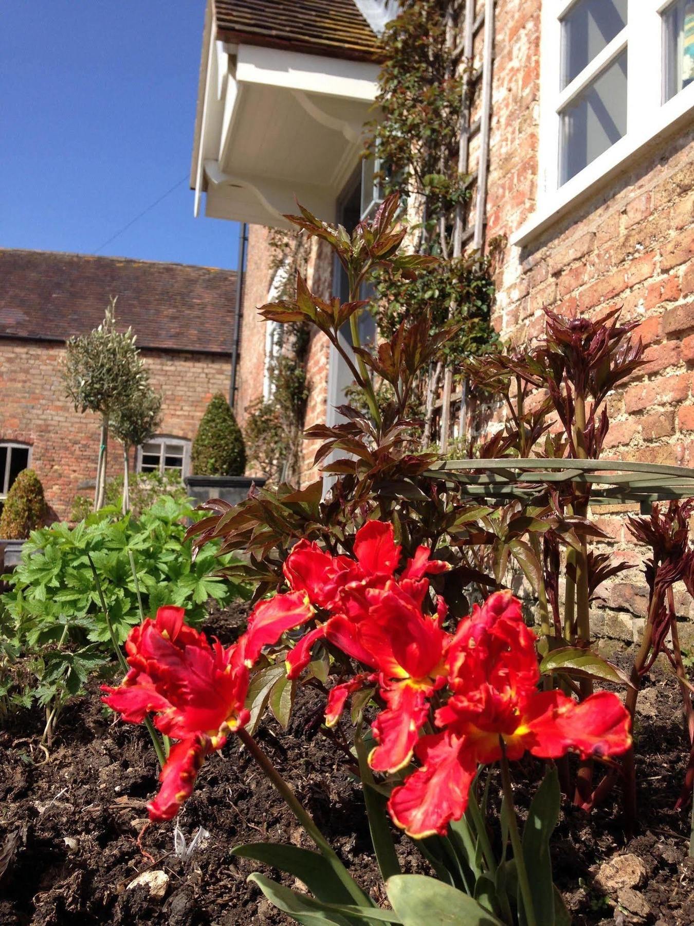 Saul Farm Hotel 3*
