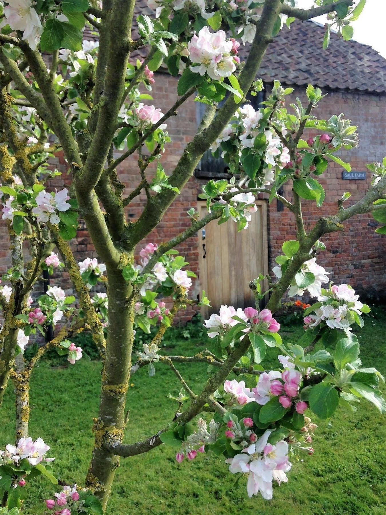 Saul Farm Gloucester