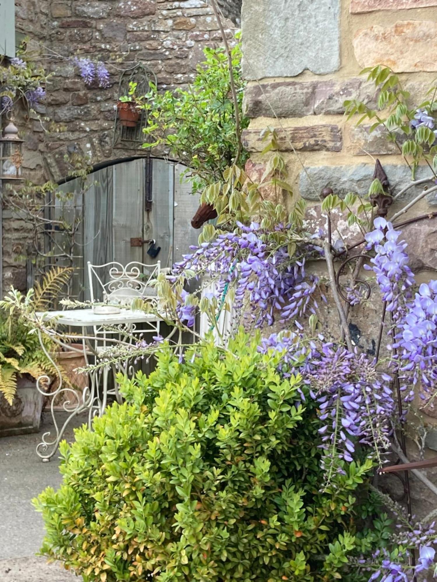 Chalet Lavender